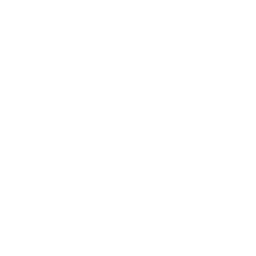 DisconnectedRegionsWhite