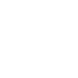 DatabaseServiceWhite