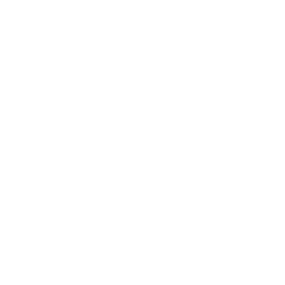 MaxSecurityZoneWhite